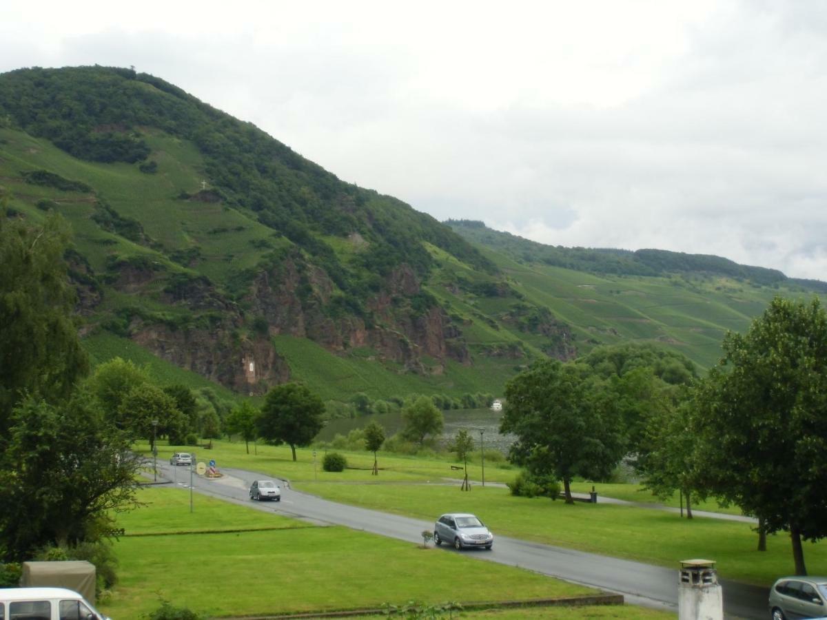 Mosel Ferienwohnung Ürzig エクステリア 写真