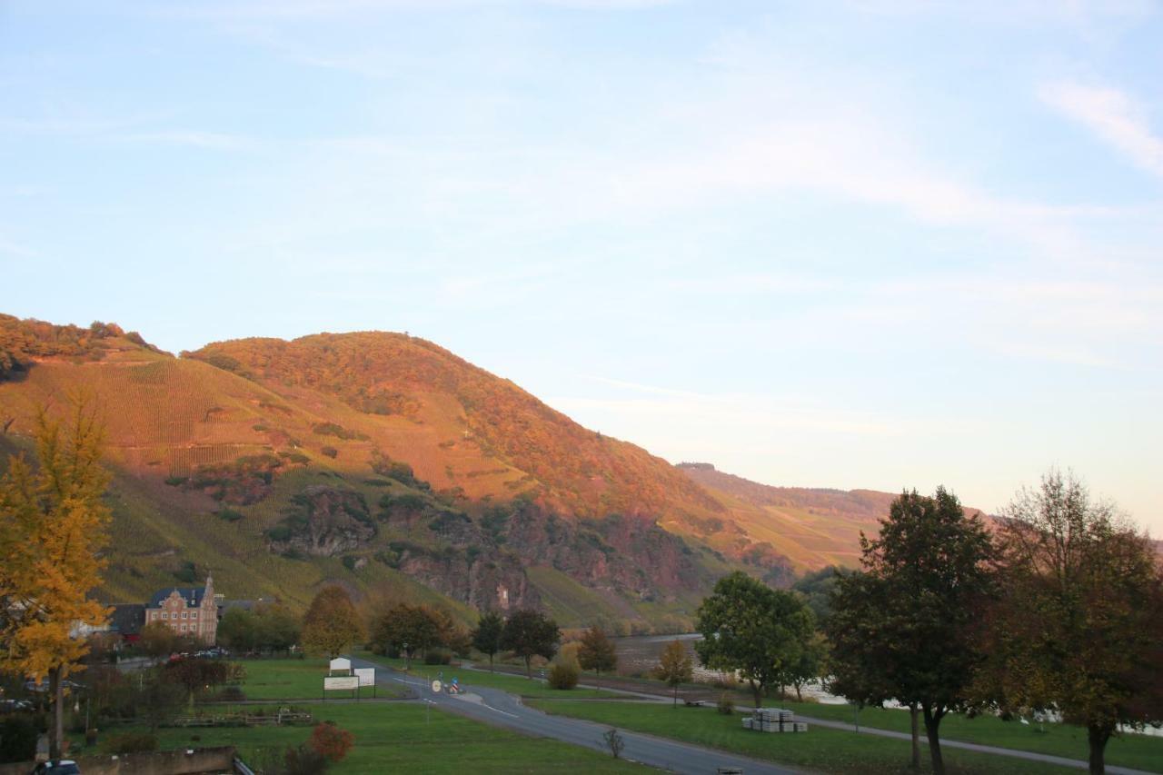 Mosel Ferienwohnung Ürzig エクステリア 写真